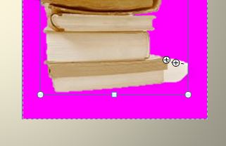 Oznacz obszary do zachowania Oznacz obszary do zachowania